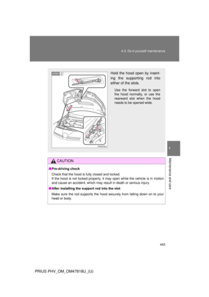 Page 443