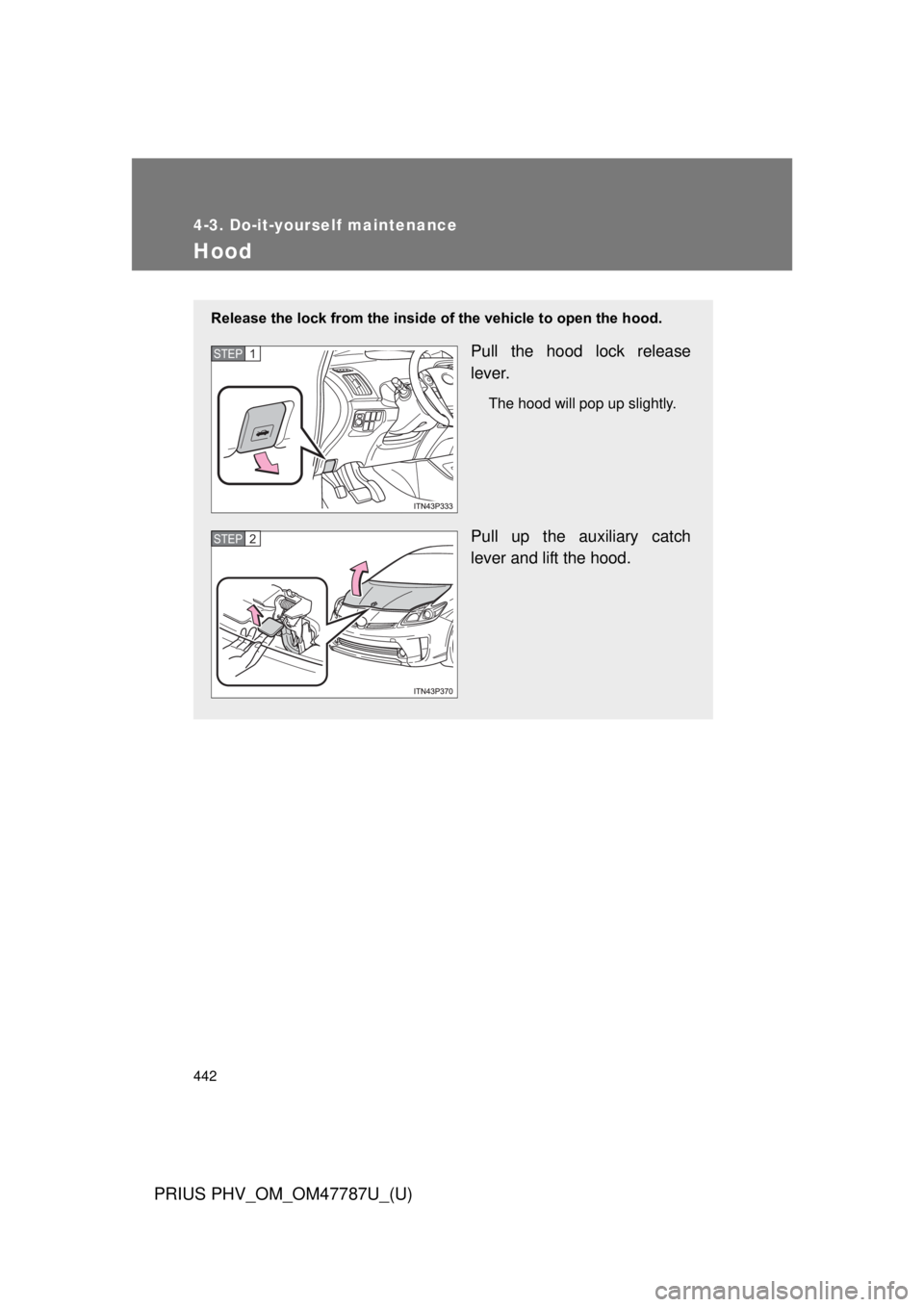 TOYOTA PRIUS PHV 2013  Owners Manual 442
4-3. Do-it-yourself maintenance
PRIUS PHV_OM_OM47787U_(U)
Hood
Release the lock from the inside of the vehicle to open the hood.
Pull the hood lock release
lever.
The hood will pop up slightly.
Pu