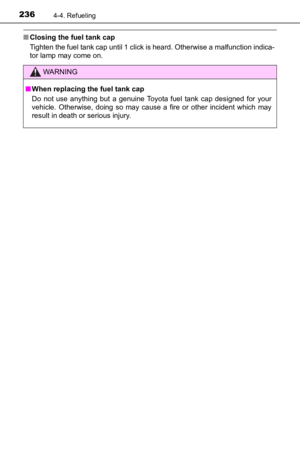 Page 236