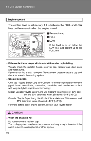 Page 245
