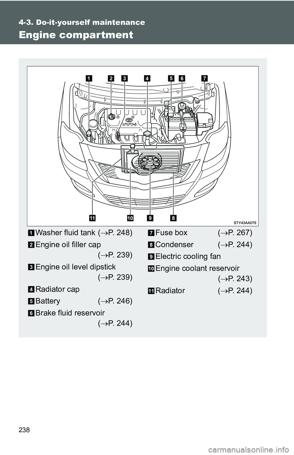 TOYOTA YARIS SEDAN 2011  Owners Manual 238
4-3. Do-it-yourself maintenance
Engine compar tment
Washer fluid tank (→P. 248)
Engine oil filler cap (→ P. 239)
Engine oil level dipstick (→ P. 239)
Radiator cap
Battery ( →P. 246)
Brake 