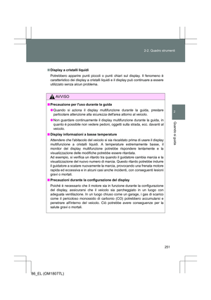 Page 251