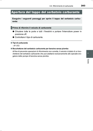 Page 243