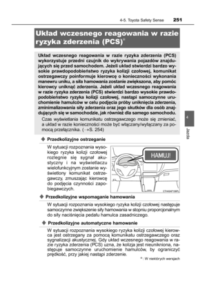 Page 251