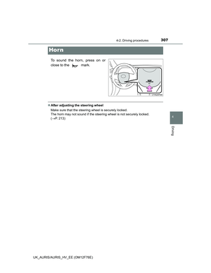 Page 307
