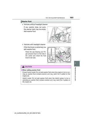 Page 523