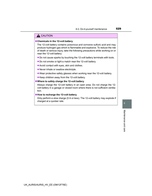 Page 529