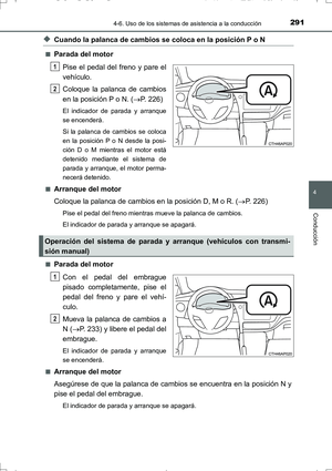 Page 291
