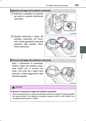 Page 251