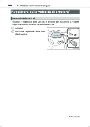 Page 300