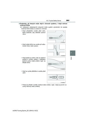 Page 263