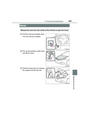 Page 461