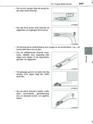 Page 217