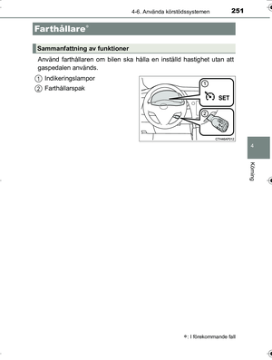 Page 251
