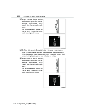 Page 260