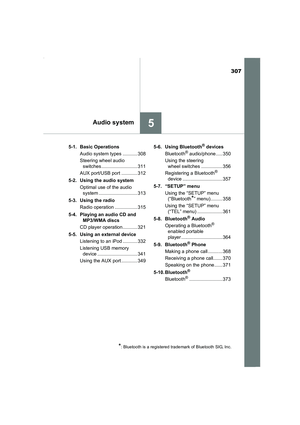 Page 307