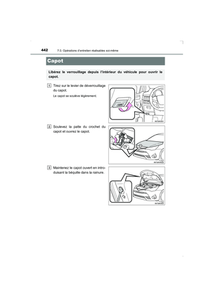 Page 442