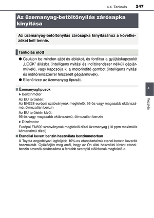 Page 247