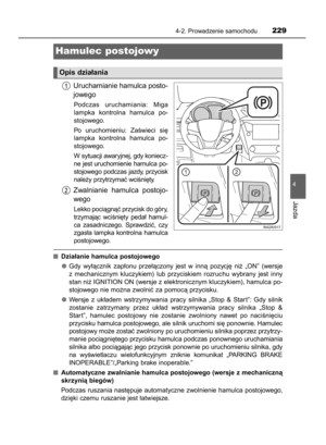 Page 229