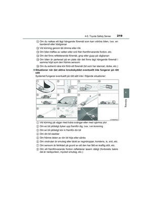 Page 219