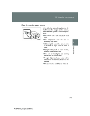 Page 313