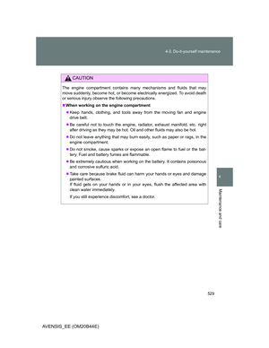Page 529