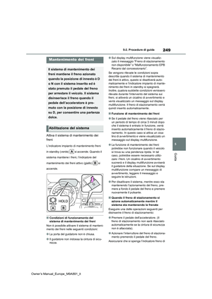 Page 251