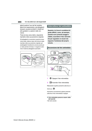 Page 262