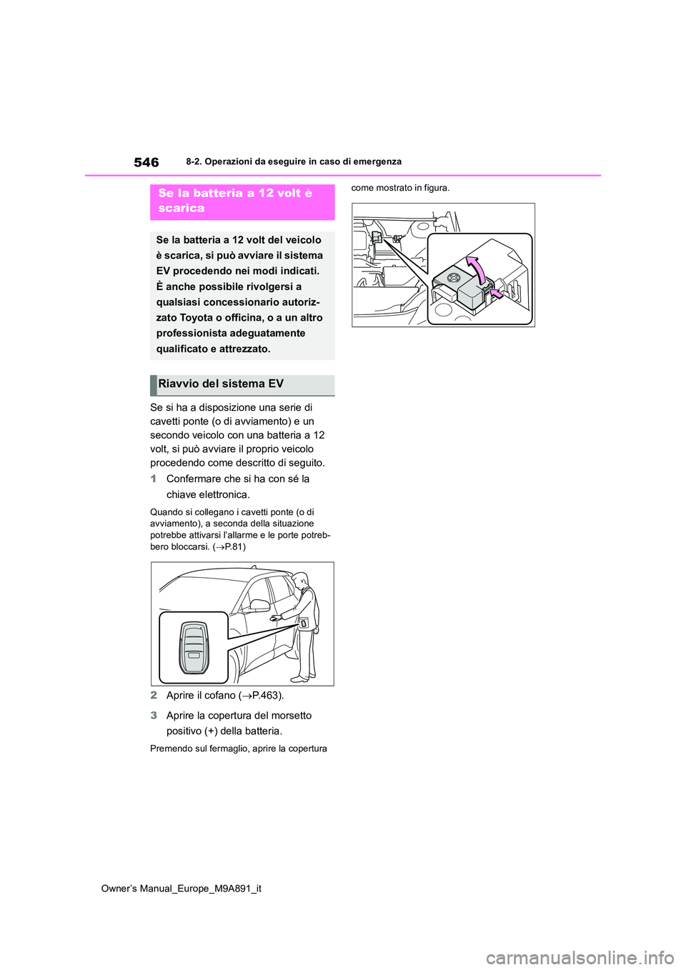 TOYOTA BZ4X 2023  Manuale duso (in Italian) 546
Owner’s Manual_Europe_M9A891_it
8-2. Operazioni da eseguire in caso di emergenza
Se si ha a disposizione una serie di  
cavetti ponte (o di avviamento) e un 
secondo veicolo con una batteria a 1