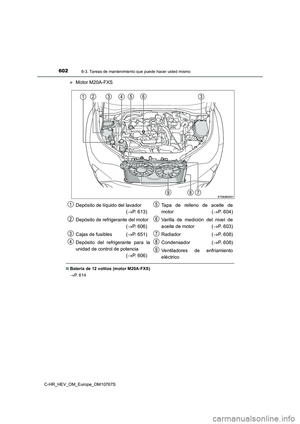 TOYOTA C-HR 2023  Manual del propietario (in Spanish) 6026-3. Tareas de mantenimiento que puede hacer usted mismo
C-HR_HEV_OM_Europe_OM10767S
Motor M20A-FXS
■Batería de 12 voltios (motor M20A-FXS) 
 P.   6 1 4
Depósito de líquido del lavador 
