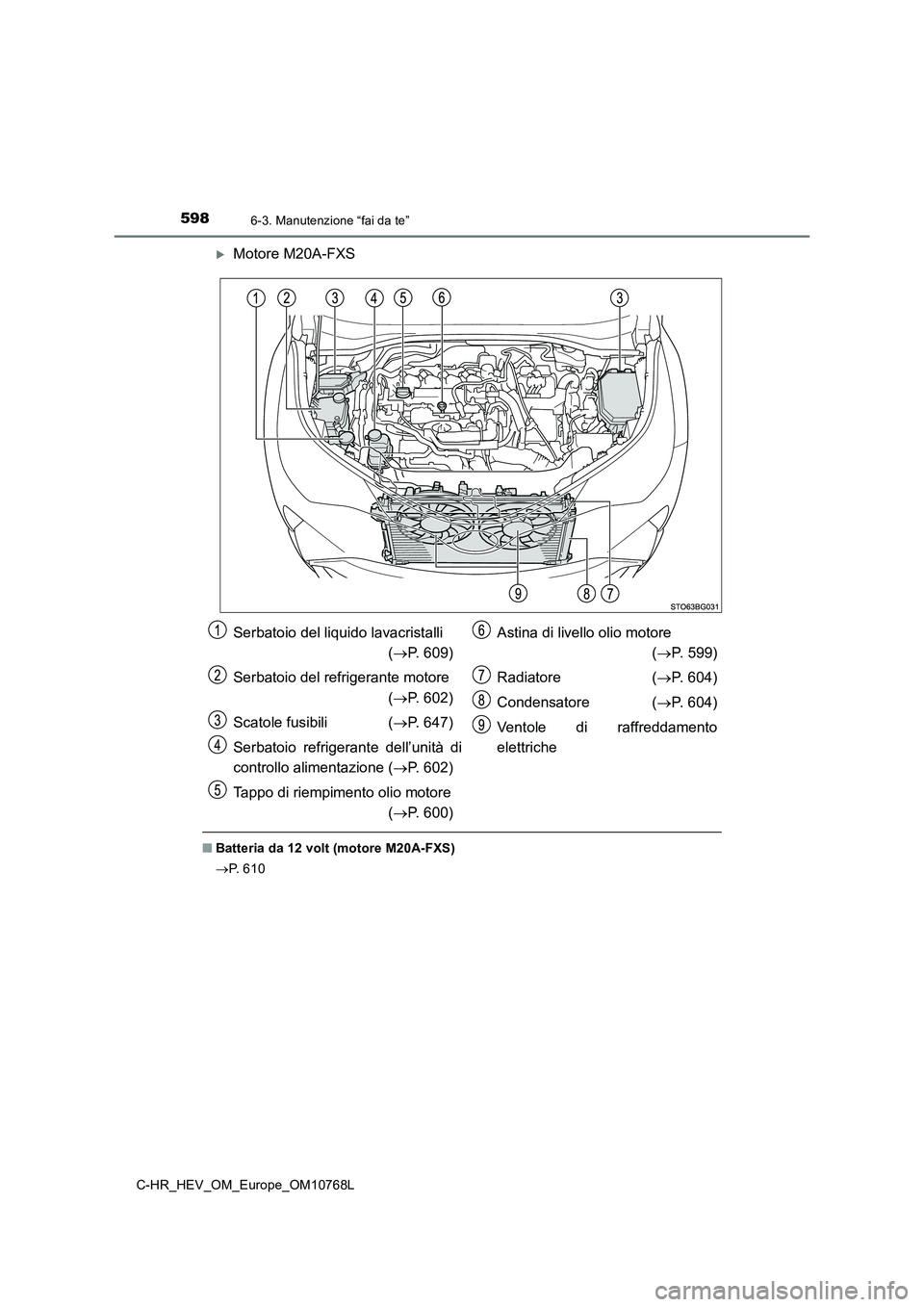 TOYOTA C-HR 2023  Manuale duso (in Italian) 5986-3. Manutenzione “fai da te”
C-HR_HEV_OM_Europe_OM10768L
Motore M20A-FXS
■Batteria da 12 volt (motore M20A-FXS) 
 P.   6 1 0
Serbatoio del liquido lavacristalli   
( P. 609) 
Serbat