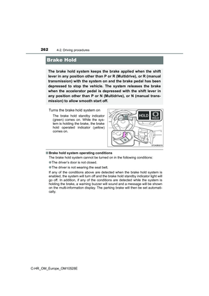 Page 262