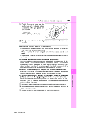 Page 561