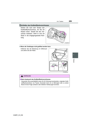 Page 261
