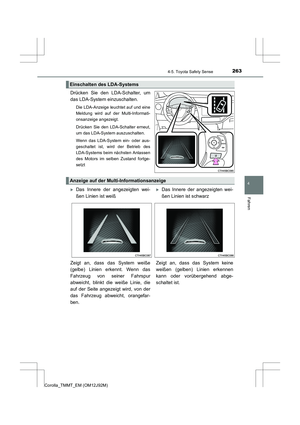 Page 263