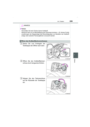 Page 239