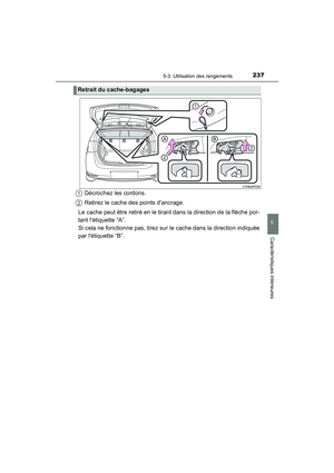 Page 239