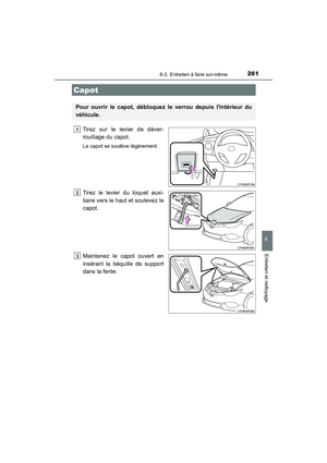 Page 263