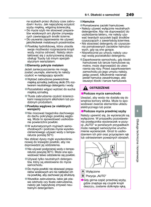 Page 251