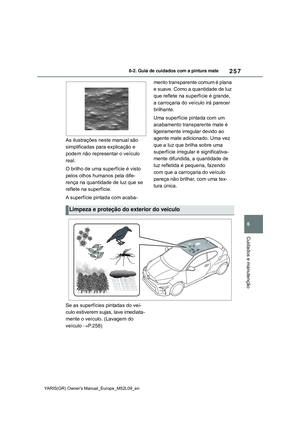 Page 261
