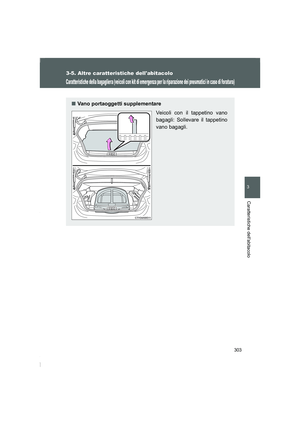 Page 303