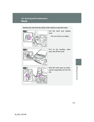 Page 319