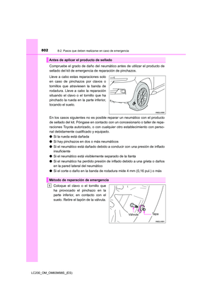 Page 802