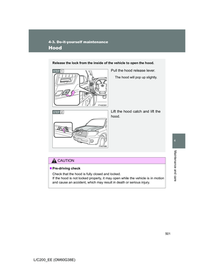 Page 501