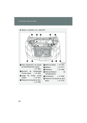 Page 362