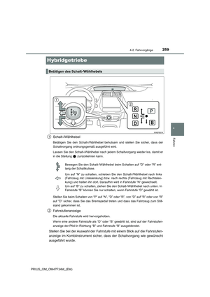 Page 261