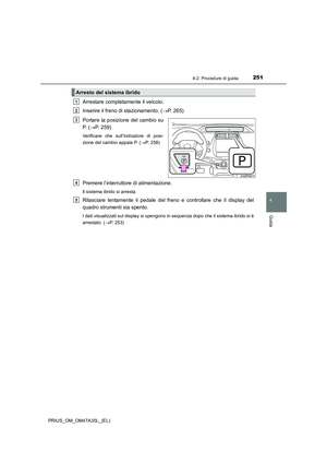 Page 251