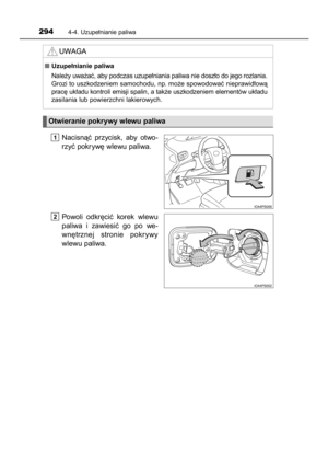 Page 294