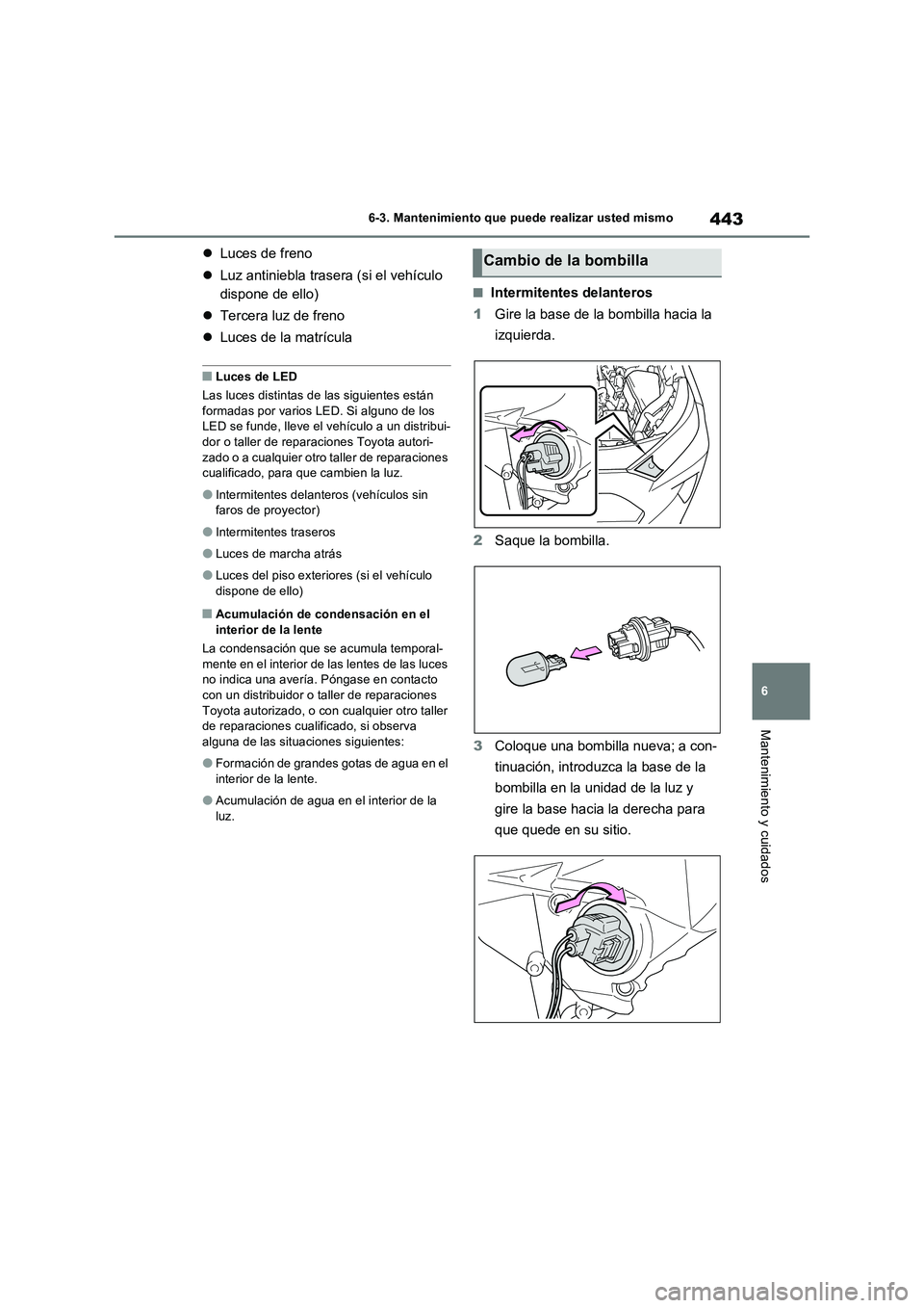 TOYOTA RAV4 2023  Manual del propietario (in Spanish) 443
6 6-3. Mantenimiento que puede realizar usted mismo
Mantenimiento y cuidados
Luces de freno
Luz antiniebla trasera (si el vehículo 
dispone de ello)
Tercera luz de freno
Luces de la m