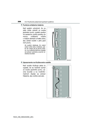 Page 306
